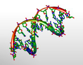 DNA_3D_Model